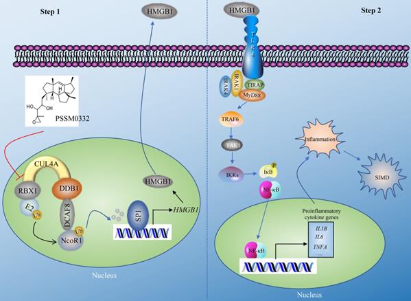 Int J Biol Sci Image