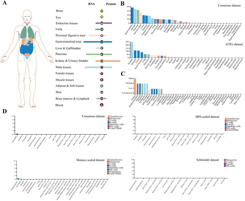 Int J Biol Sci Image