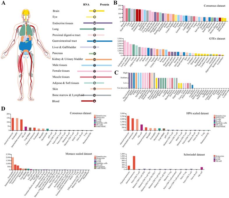 Int J Biol Sci Image