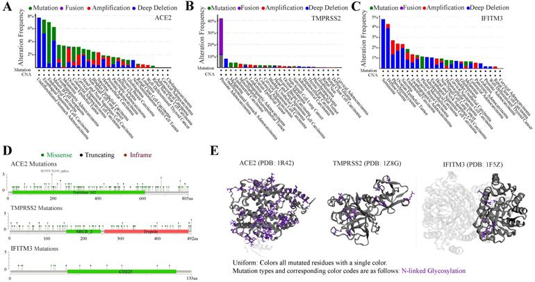 Int J Biol Sci Image