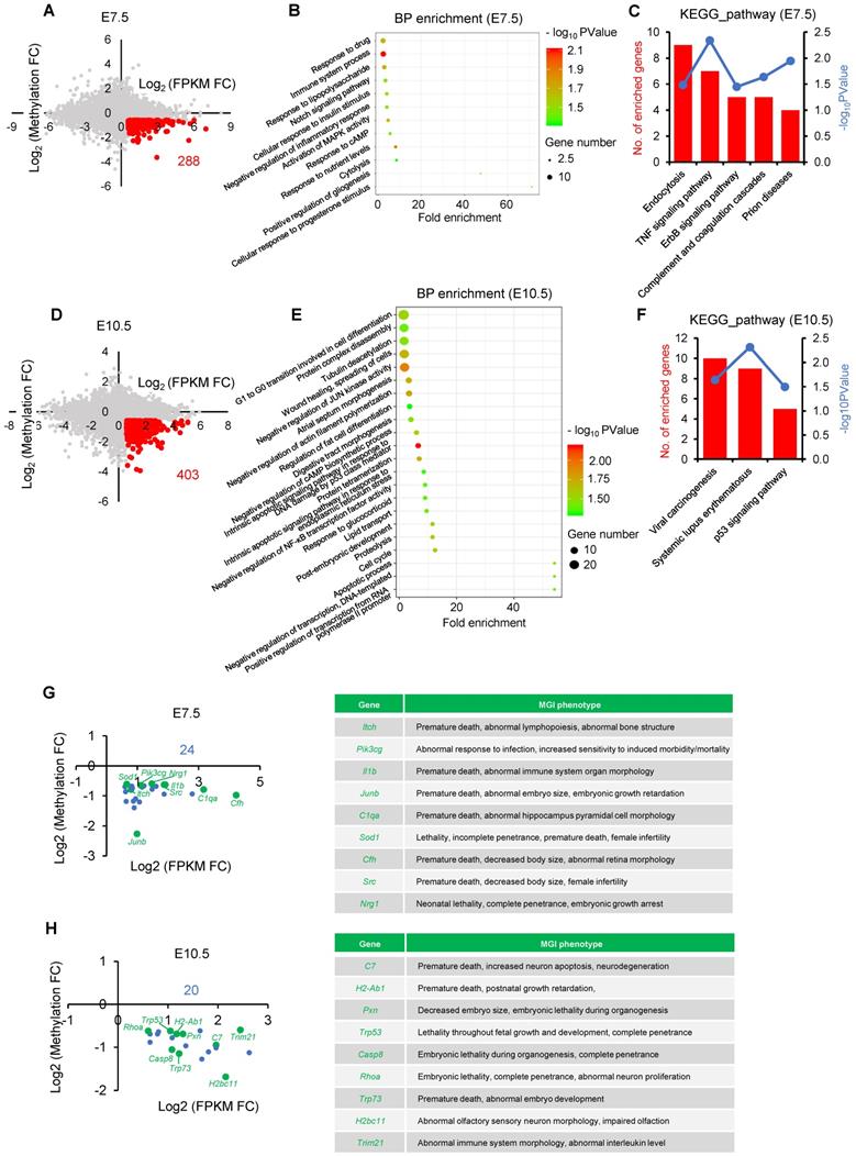 Int J Biol Sci Image