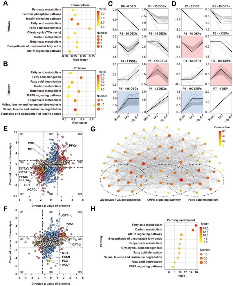 Int J Biol Sci Image