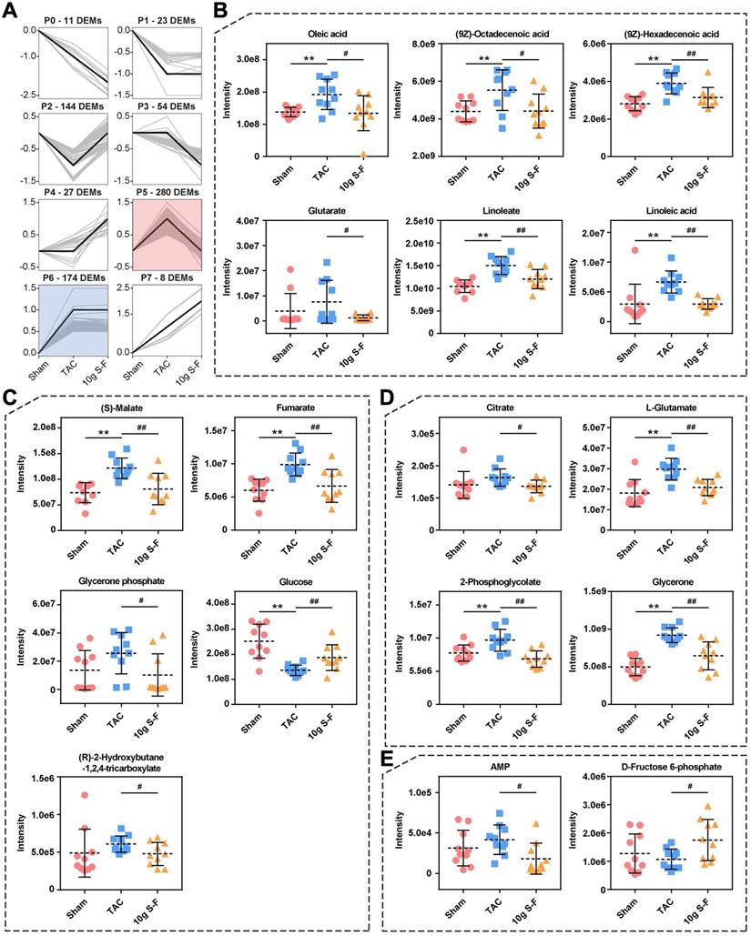 Int J Biol Sci Image