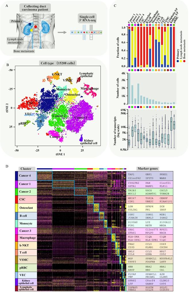 Int J Biol Sci Image