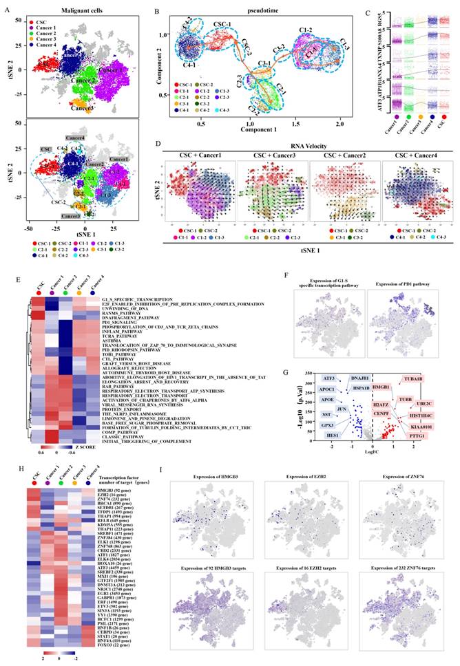 Int J Biol Sci Image