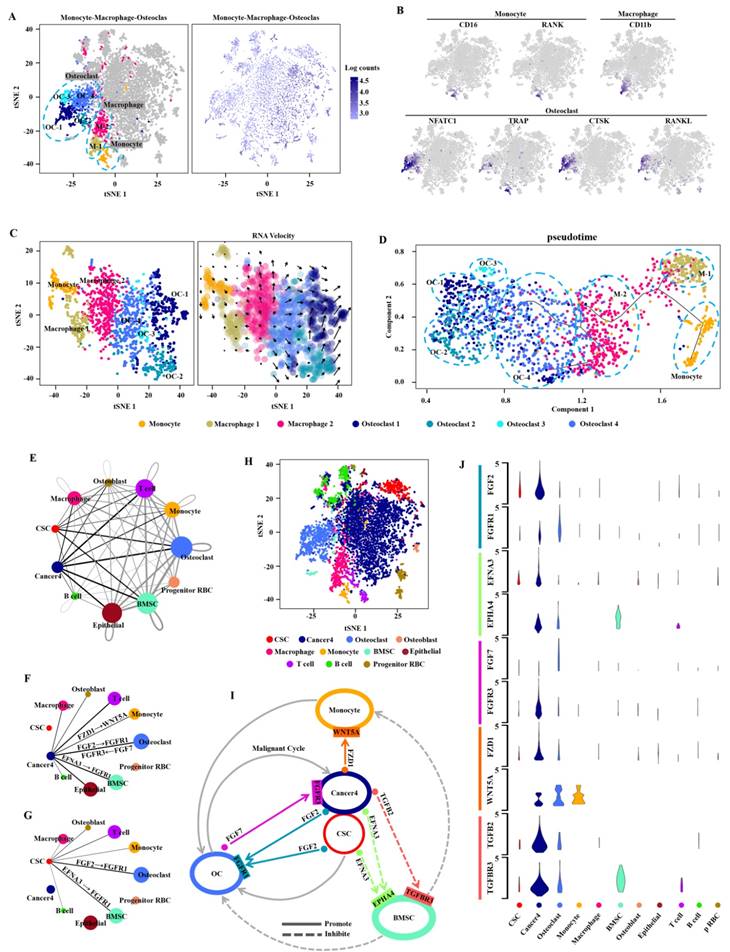 Int J Biol Sci Image