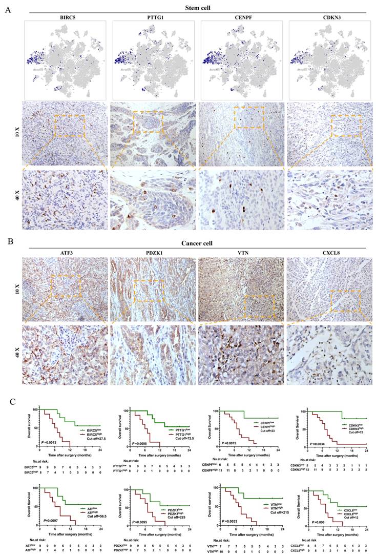 Int J Biol Sci Image