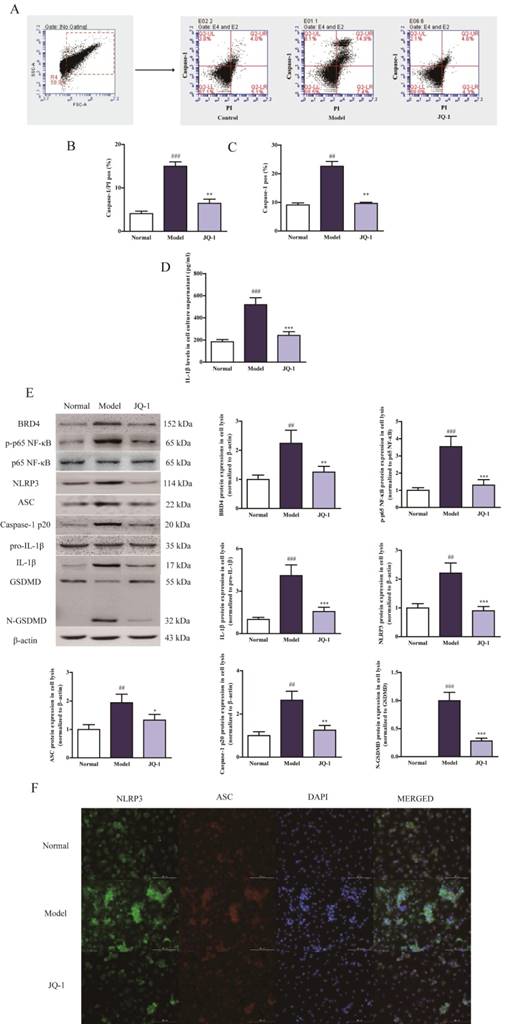 Int J Biol Sci Image