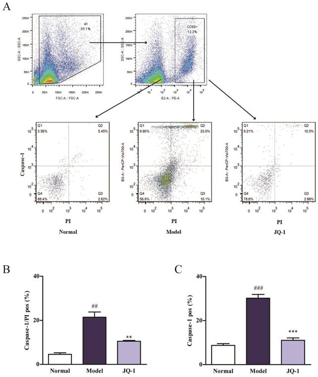 Int J Biol Sci Image