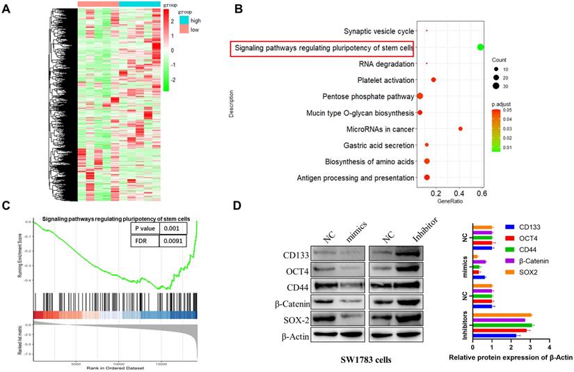 Int J Biol Sci Image