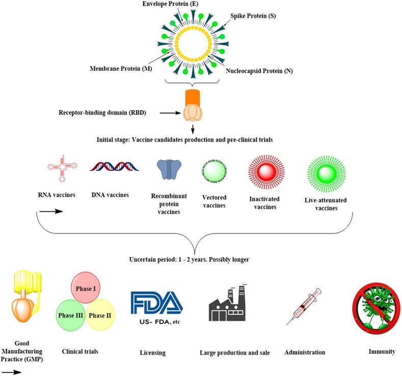 Int J Biol Sci Image