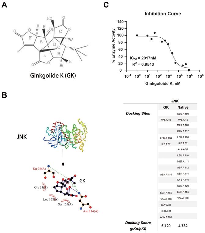 Int J Biol Sci Image