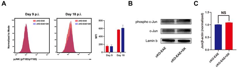 Int J Biol Sci Image