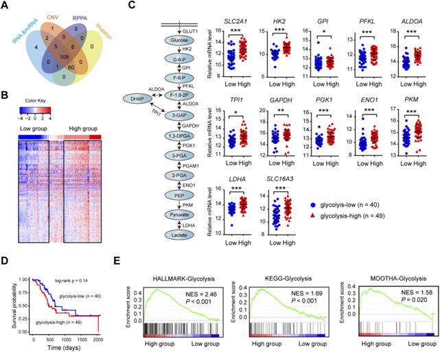 Int J Biol Sci Image