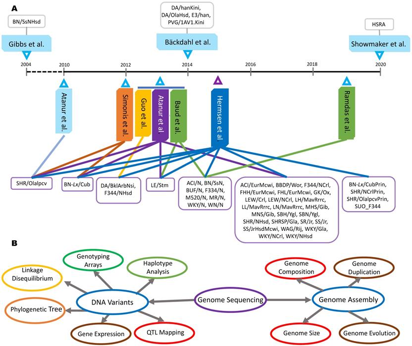 Int J Biol Sci Image