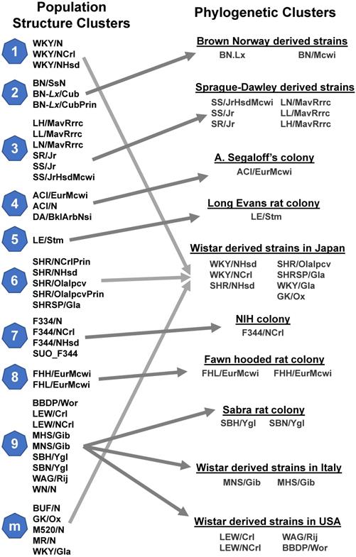 Int J Biol Sci Image