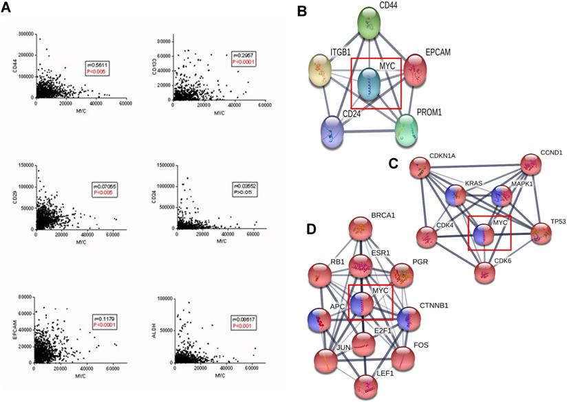 Int J Biol Sci Image