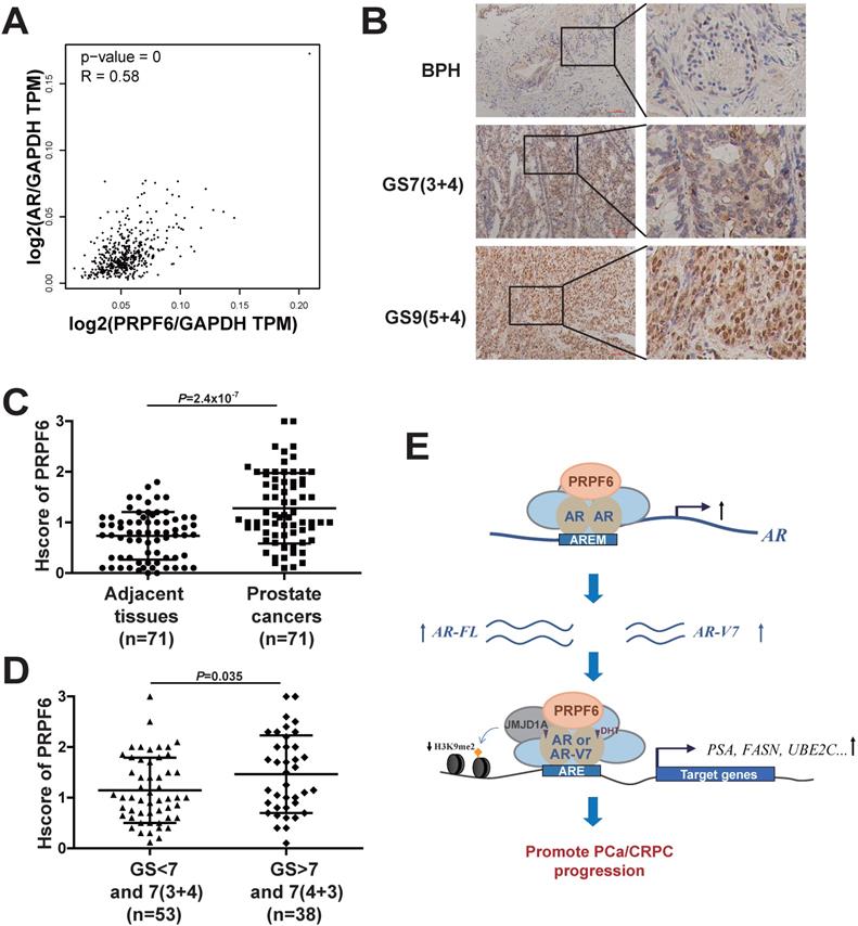 Int J Biol Sci Image