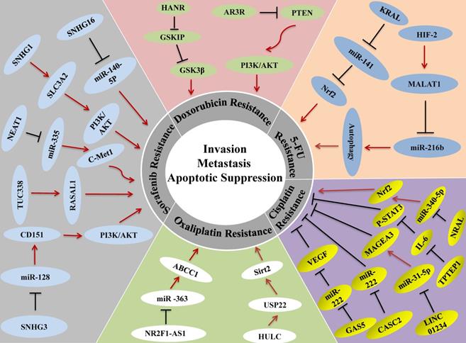 Int J Biol Sci Image