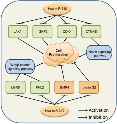 Int J Biol Sci Image