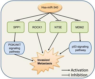 Int J Biol Sci Image