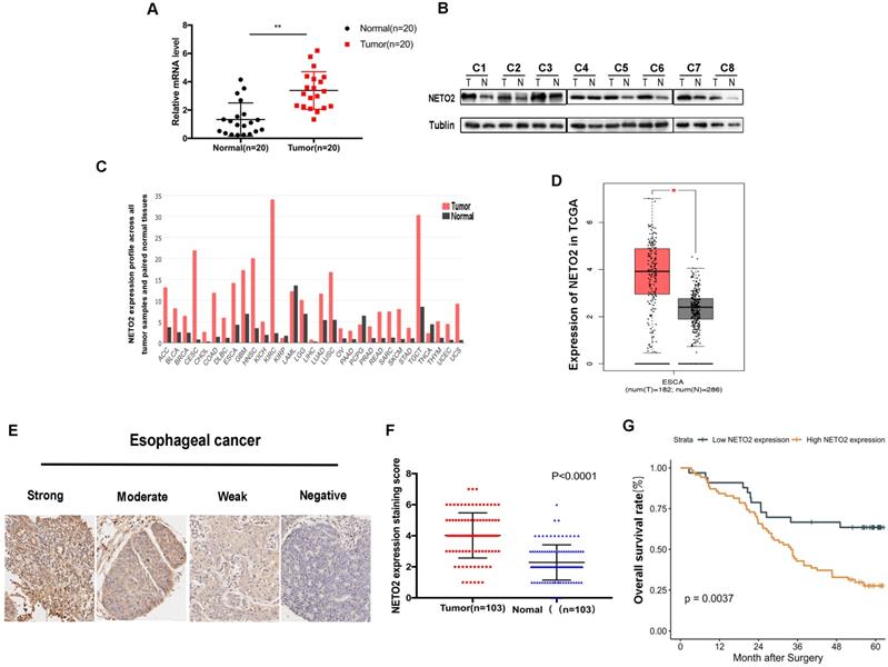 Int J Biol Sci Image