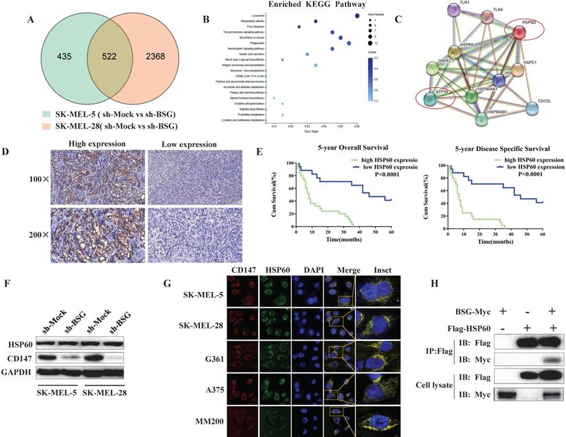 Int J Biol Sci Image