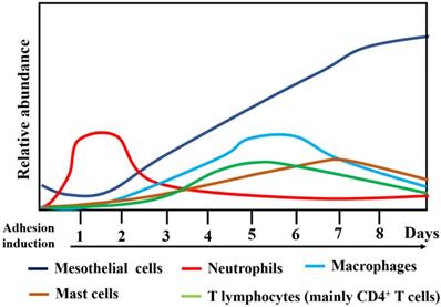 Int J Biol Sci Image