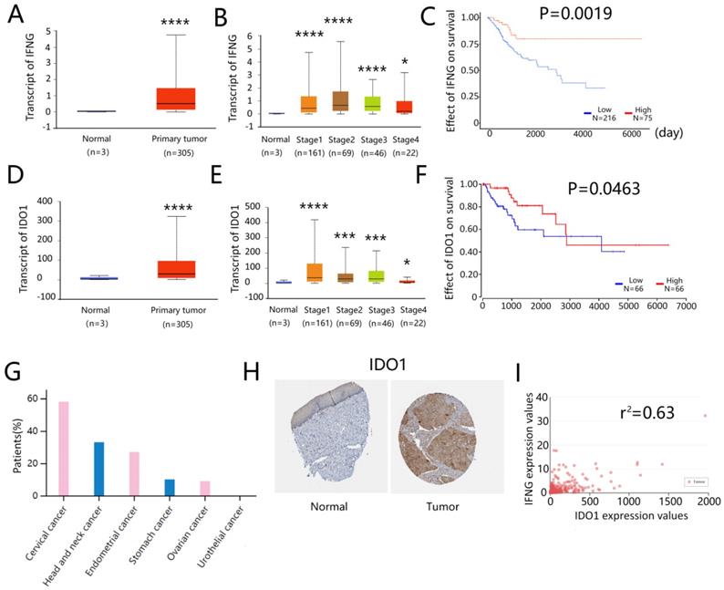 Int J Biol Sci Image