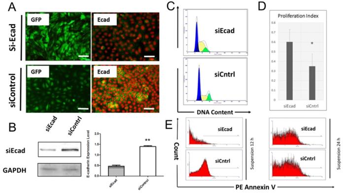 Int J Biol Sci Image