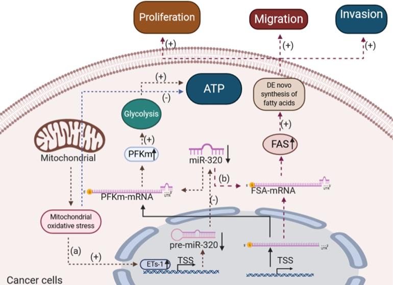 Int J Biol Sci Image