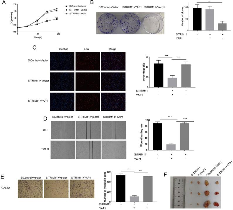 Int J Biol Sci Image