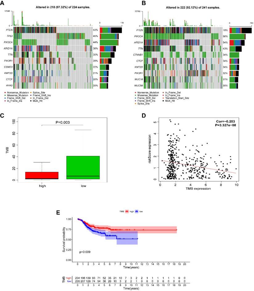 Int J Biol Sci Image