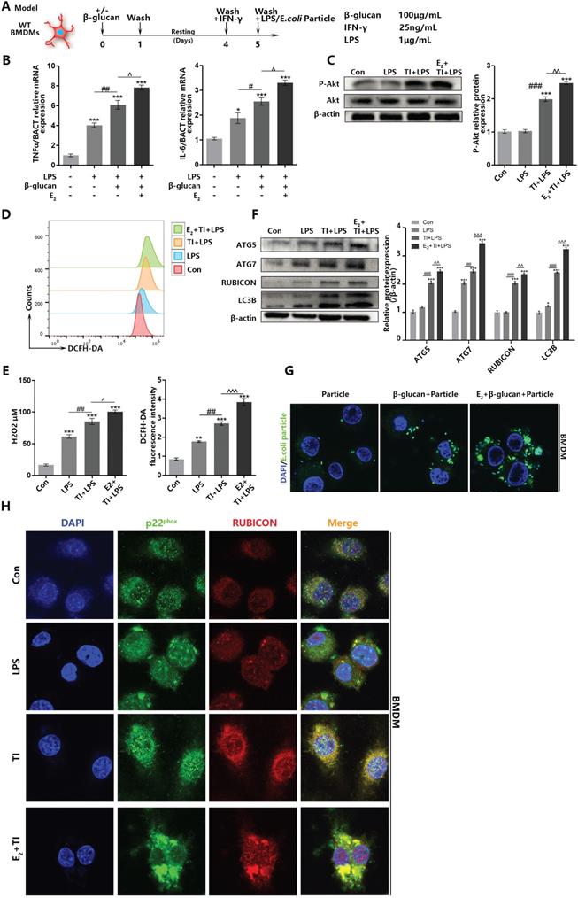 Int J Biol Sci Image