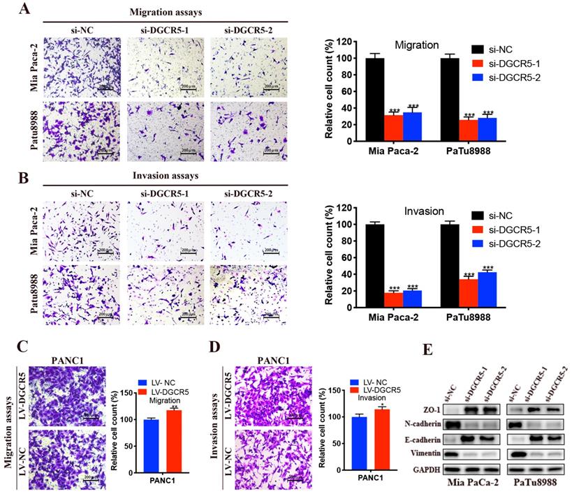 Int J Biol Sci Image