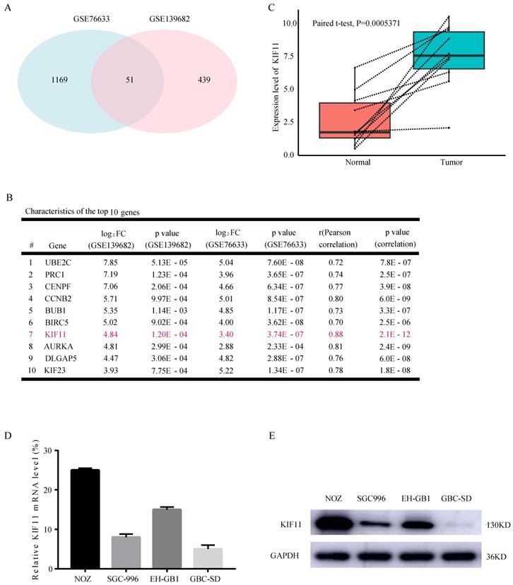 Int J Biol Sci Image