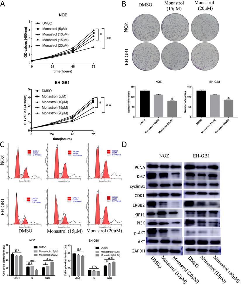 Int J Biol Sci Image