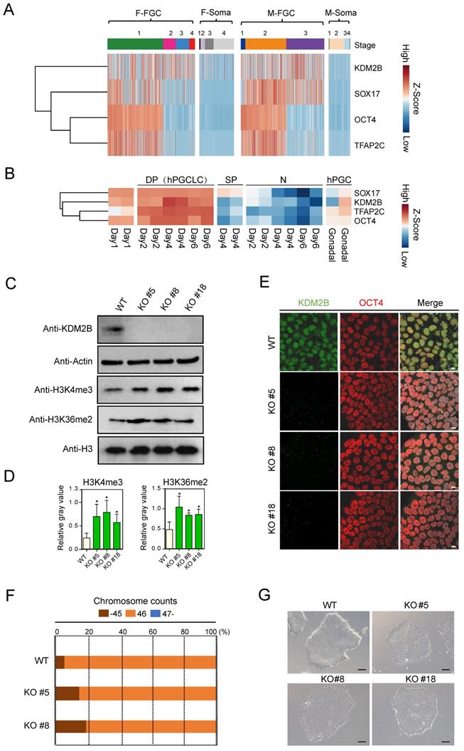 Int J Biol Sci Image