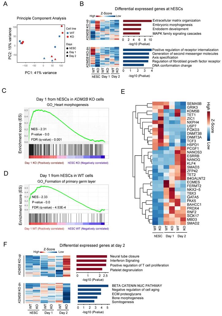 Int J Biol Sci Image