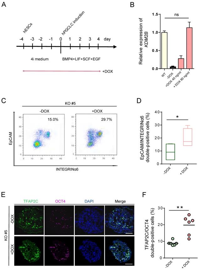 Int J Biol Sci Image