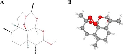 Int J Biol Sci Image