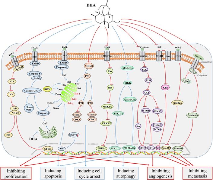 Int J Biol Sci Image