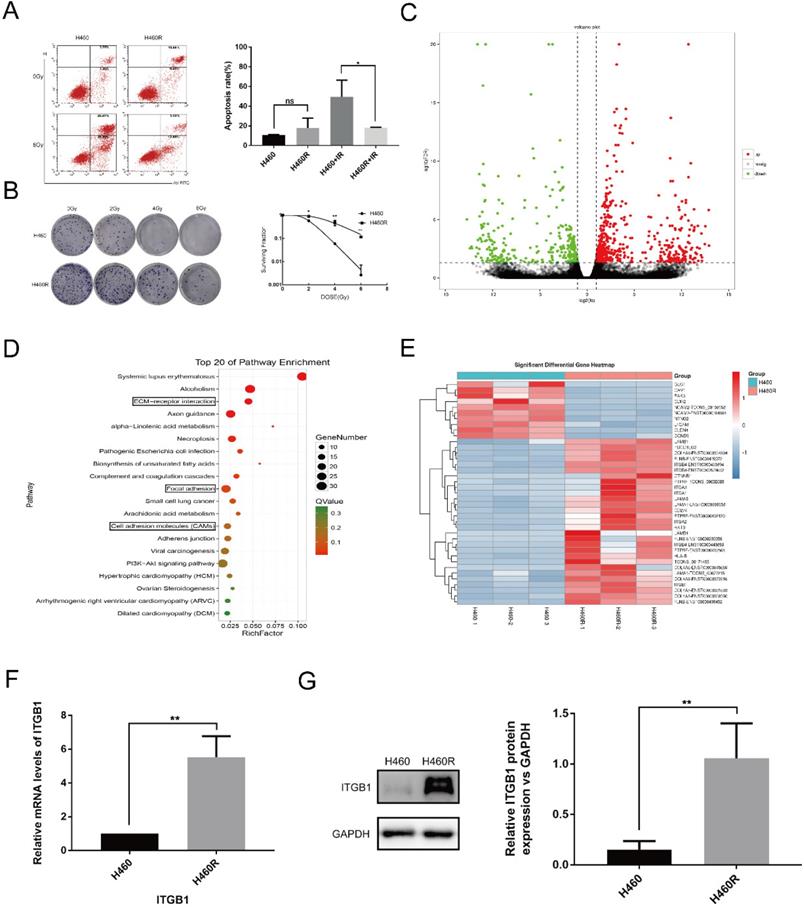 Int J Biol Sci Image