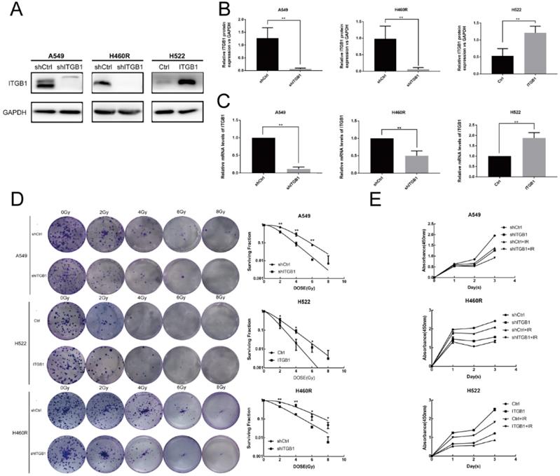 Int J Biol Sci Image