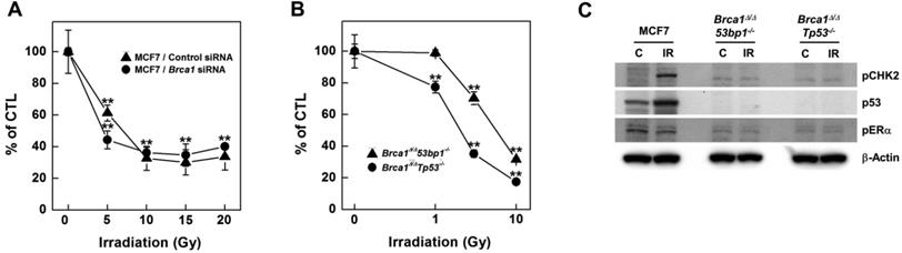 Int J Biol Sci Image