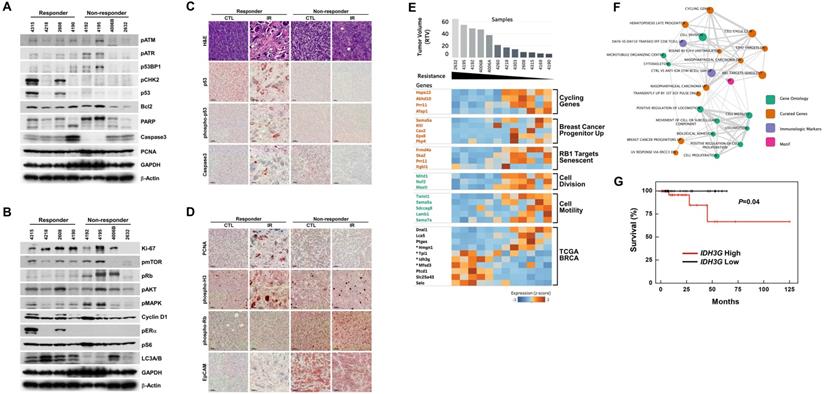 Int J Biol Sci Image