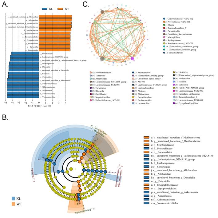 Int J Biol Sci Image