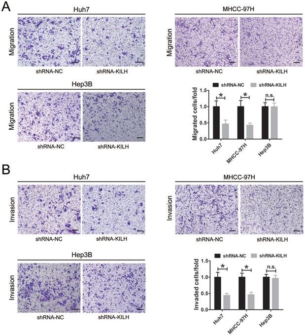 Int J Biol Sci Image