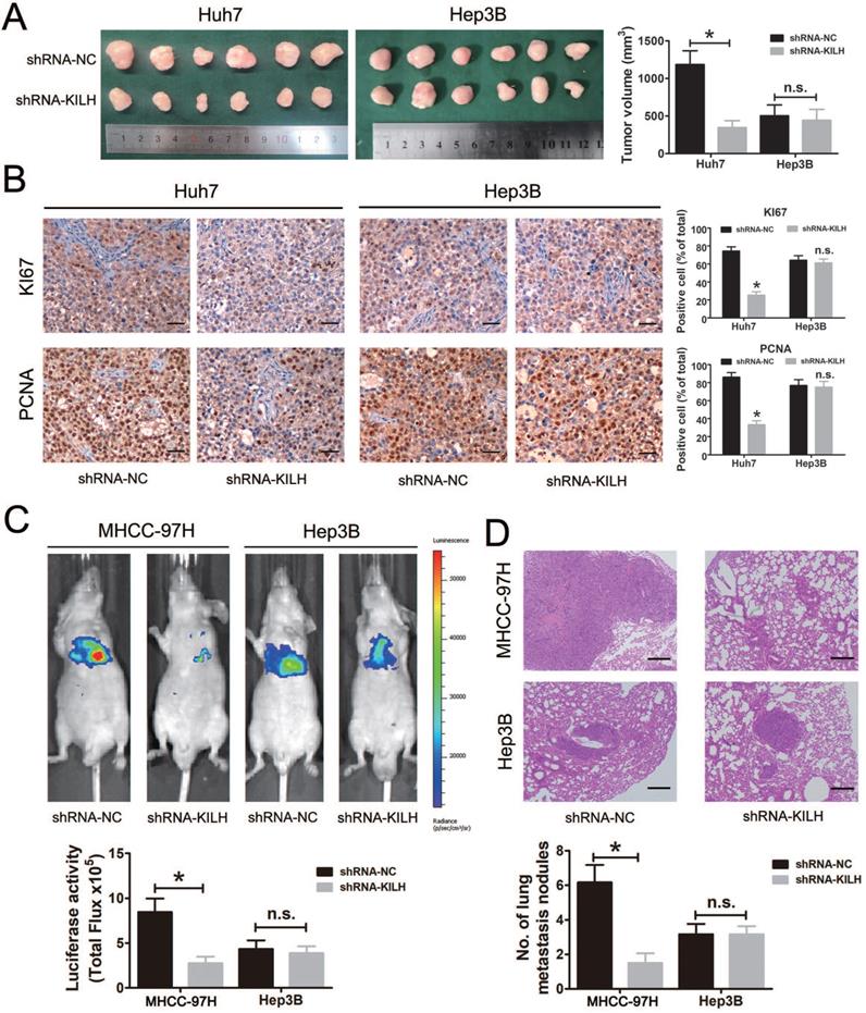 Int J Biol Sci Image