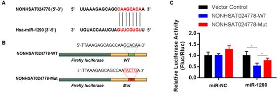 Int J Biol Sci Image